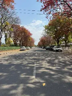 Panjab University Chandigarh Campus photo 6